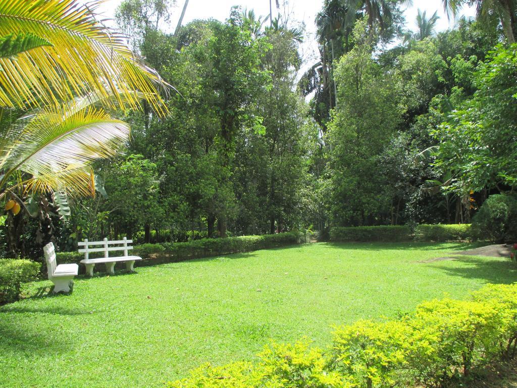 Alfred Colonial Bungalow & Spice Garden Kobbekaduwa Rum bild