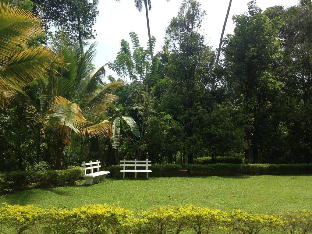 Alfred Colonial Bungalow & Spice Garden Kobbekaduwa Rum bild